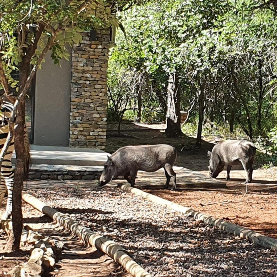 Luvivane Luxury Villa Marloth Park Luaran gambar