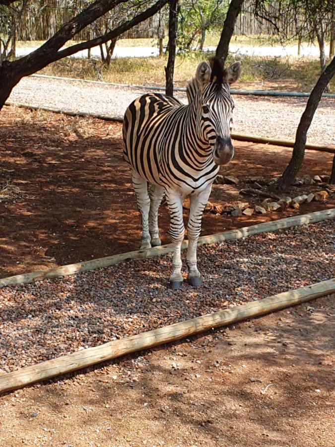 Luvivane Luxury Villa Marloth Park Luaran gambar